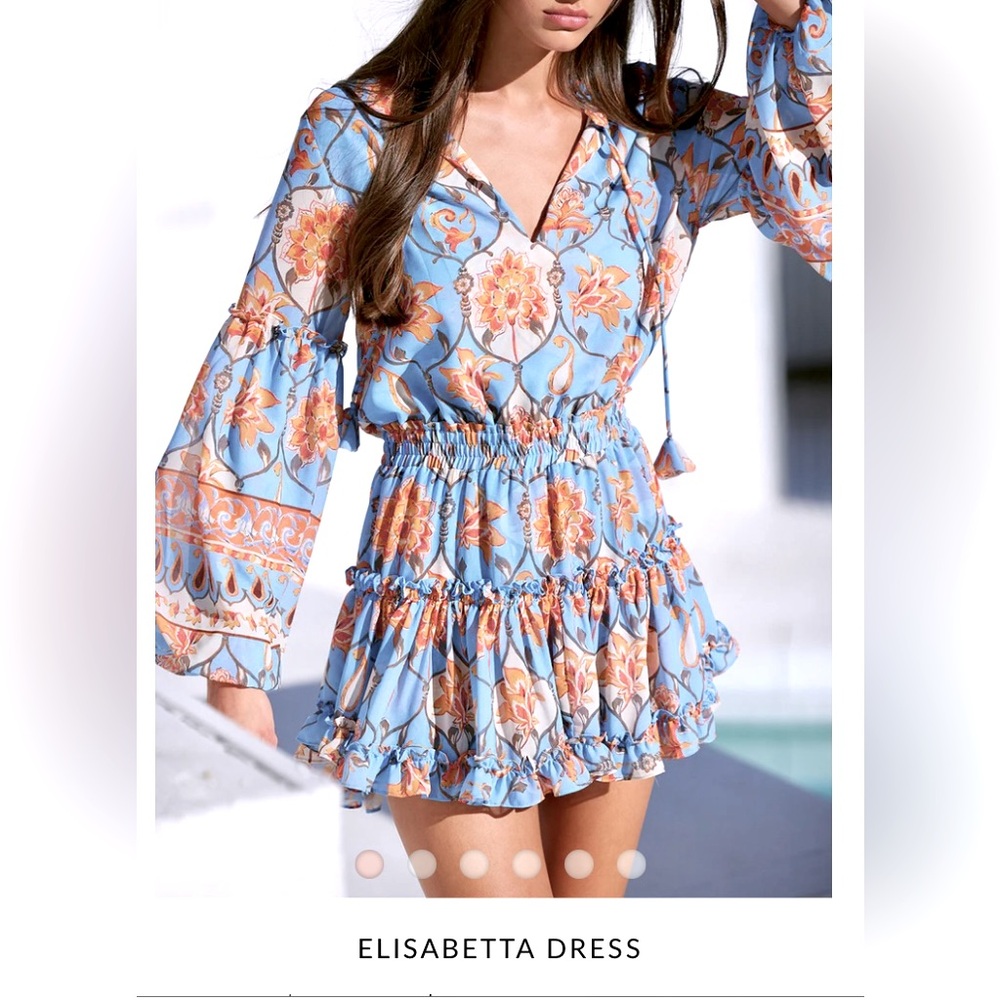 Misa Los Angeles dress.